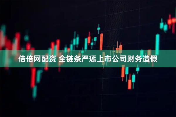 倍倍网配资 全链条严惩上市公司财务造假