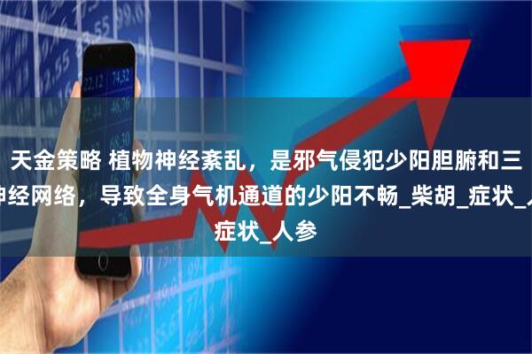 天金策略 植物神经紊乱，是邪气侵犯少阳胆腑和三焦神经网络，导致全身气机通道的少阳不畅_柴胡_症状_人参